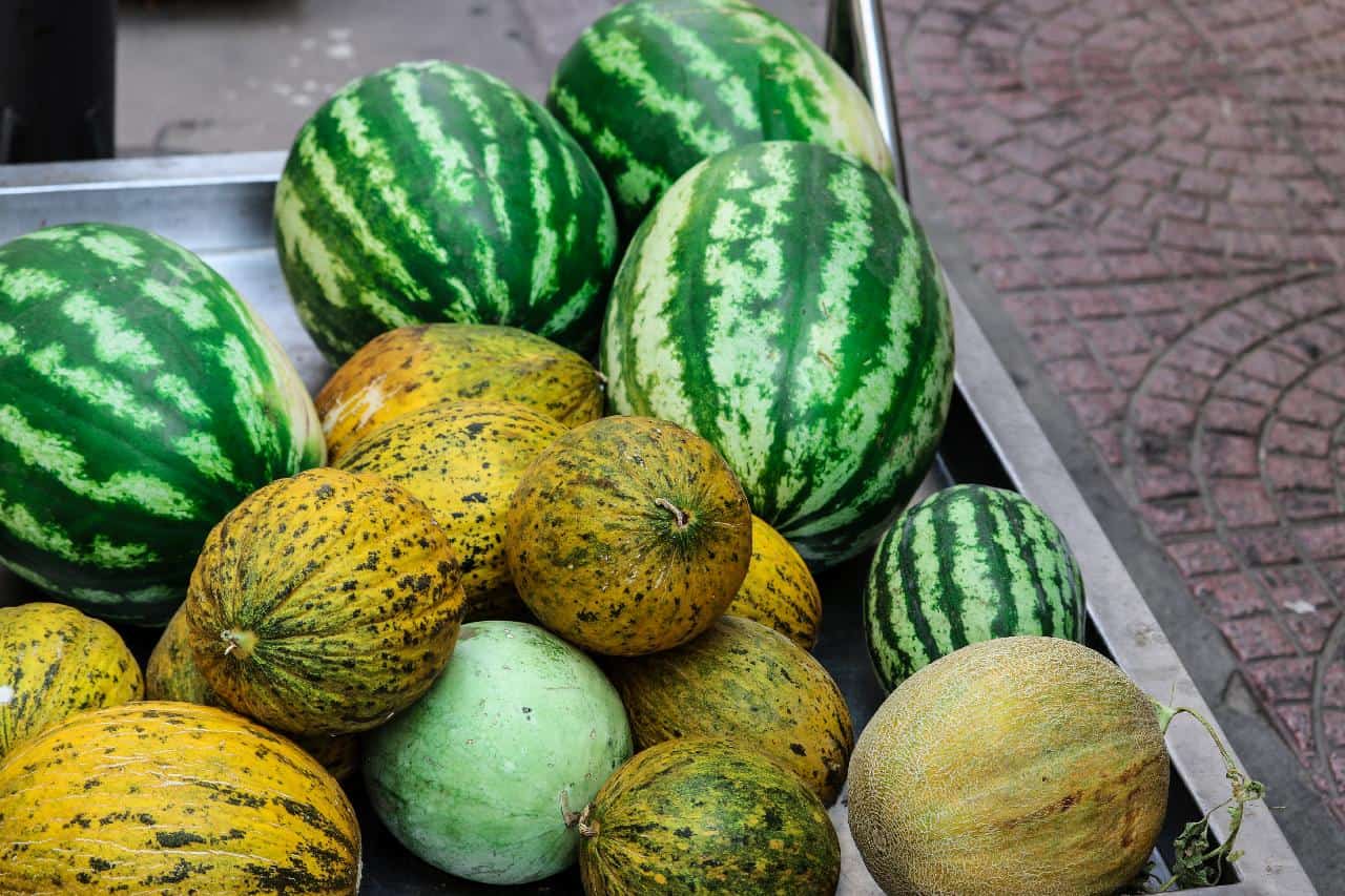 18 Verschillende Soorten Meloenen – Hemels