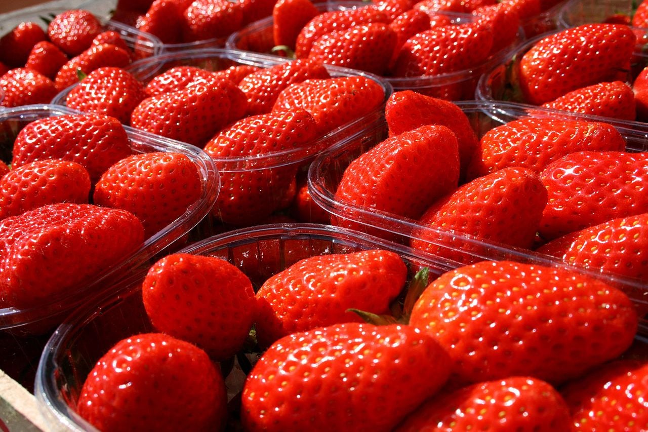 Gariguette aardbeien